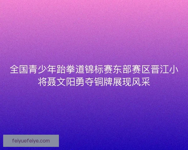 全国青少年跆拳道锦标赛东部赛区晋江小将聂文阳勇夺铜牌展现风采
