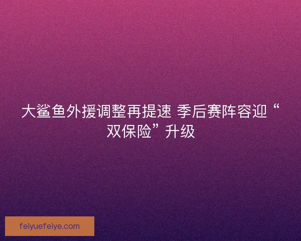 大鲨鱼外援调整再提速 季后赛阵容迎 “双保险” 升级