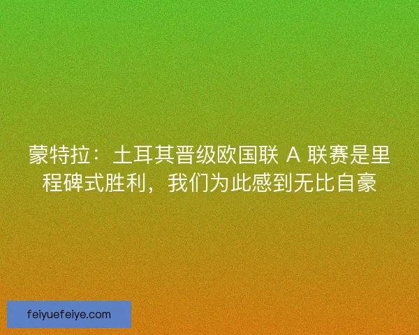 蒙特拉：土耳其晋级欧国联 A 联赛是里程碑式胜利，我们为此感到无比自豪