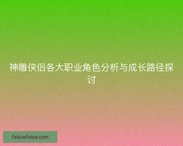 神雕侠侣各大职业角色分析与成长路径探讨