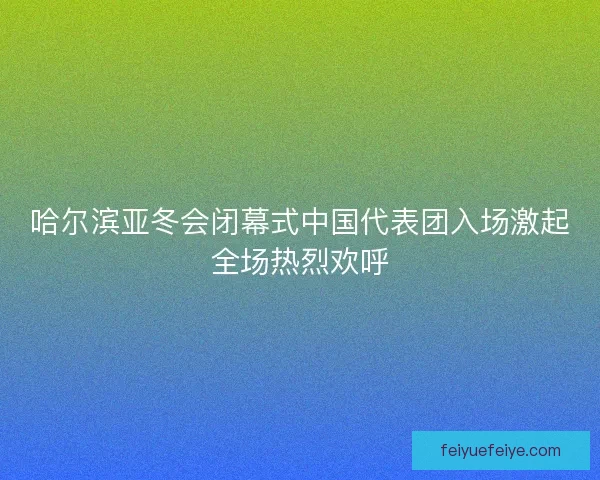 哈尔滨亚冬会闭幕式中国代表团入场激起全场热烈欢呼