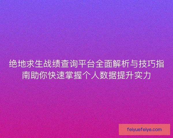 绝地求生战绩查询平台全面解析与技巧指南助你快速掌握个人数据提升实力
